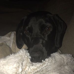 Meet your Posher, Marisa