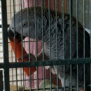 Meet your Posher, Barbara