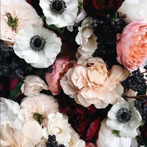 Meet your Posher, Isabella