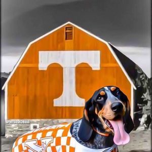 Meet your Posher, Chad