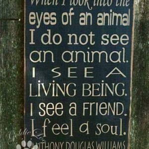 Meet your Posher, Kendra