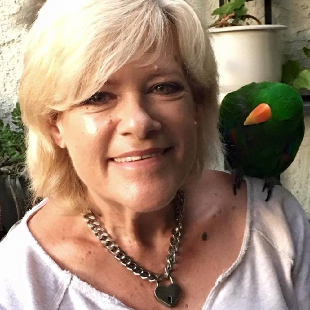 Meet your Posher, Ellen