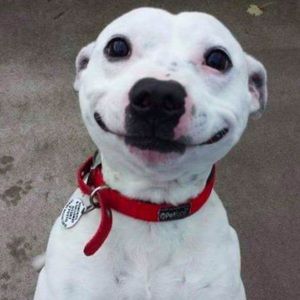 Meet your Posher, Kendra