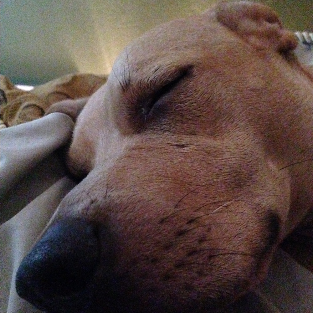 Meet your Posher, Cooper