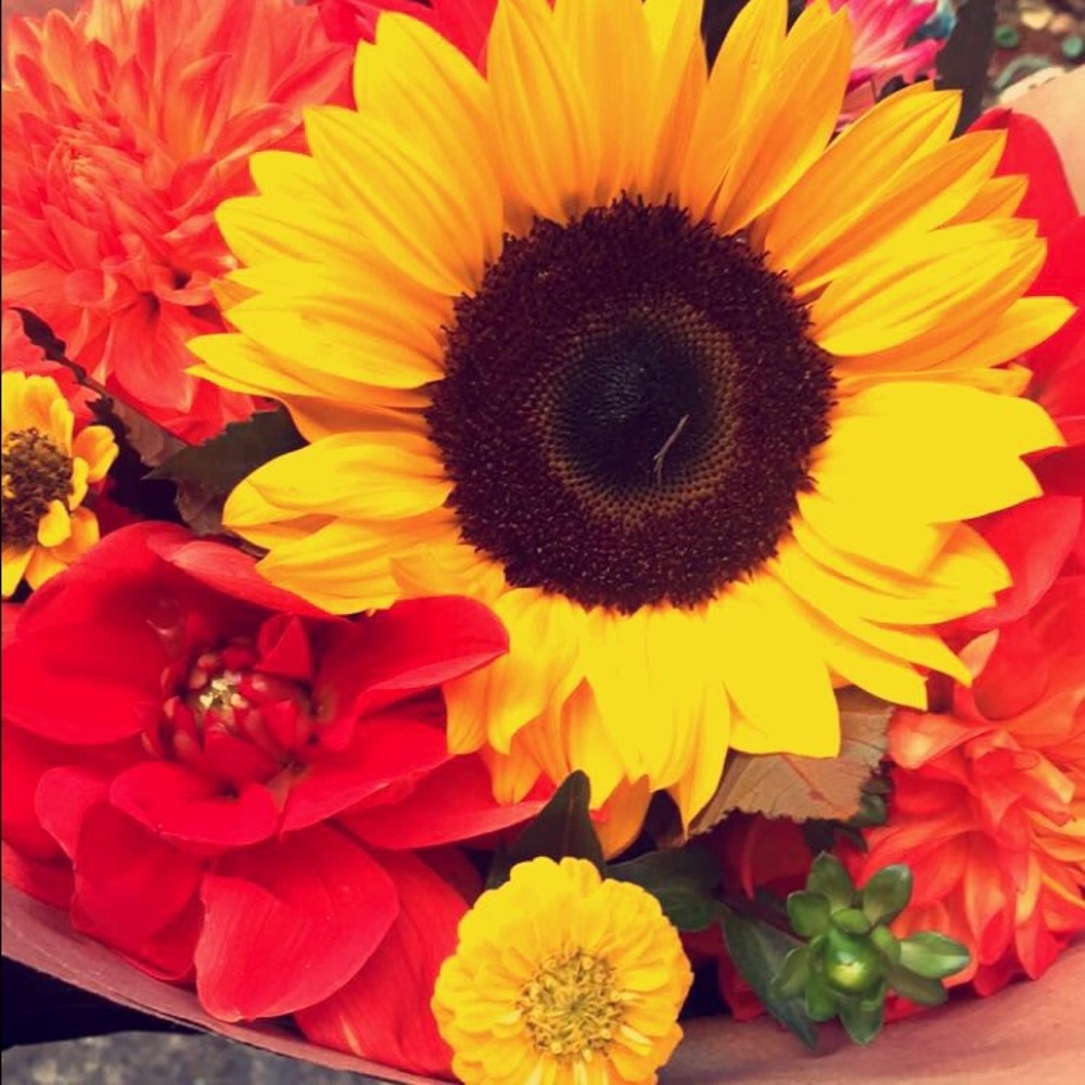 Meet your Posher, Elizabeth