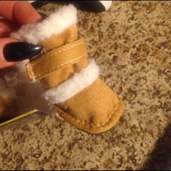 Duggz 🐶☃️size extra  small - Picture 2 of 2