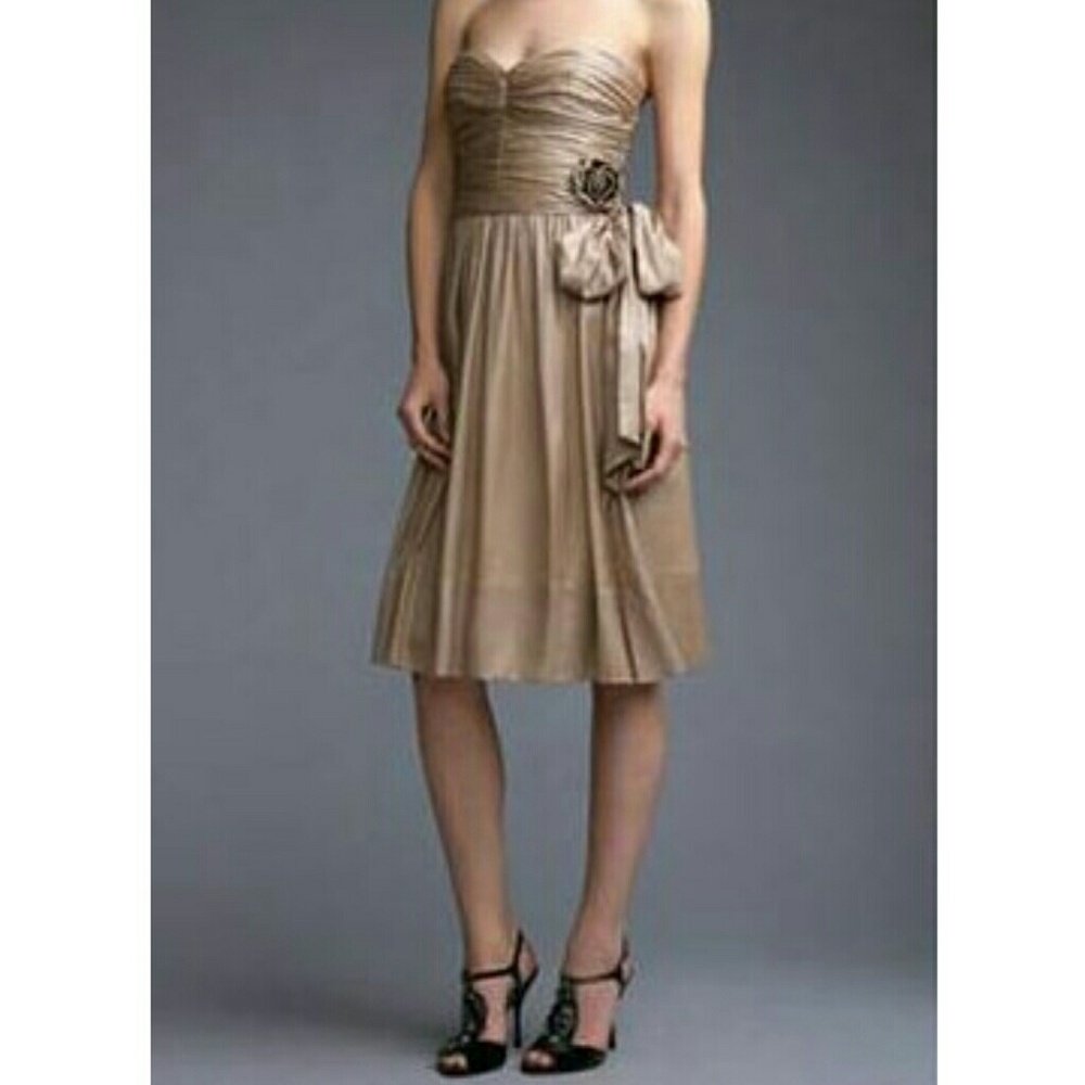 BCBG MazAzria Latte Chiffon Dress size 12
