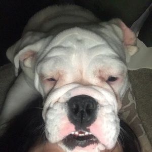 Meet your Posher, Aimelyn