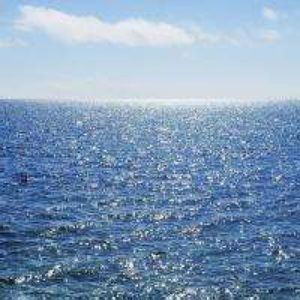 Meet your Posher, Penny