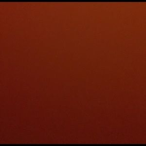 Meet your Posher, Hayley