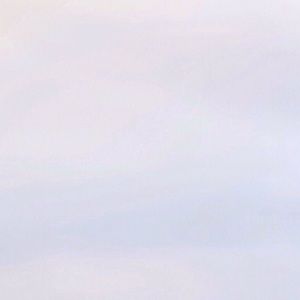 Meet your Posher, Nayie