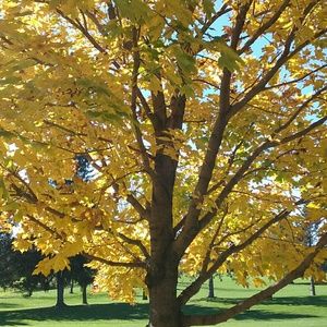 Meet your Posher, Karley