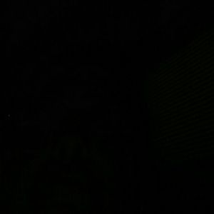 Posher, Hazel  I'm selling LED lighted DOG collar