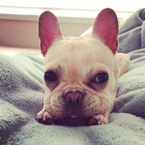 Meet your Posher, Wenjing