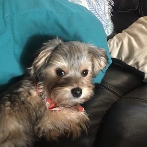 Meet your Posher, Pam