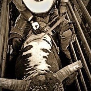 Meet your Posher, Victor