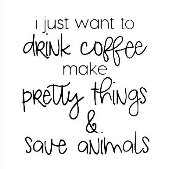 Meet your Posher, Lindsay - Picture 4 of 7