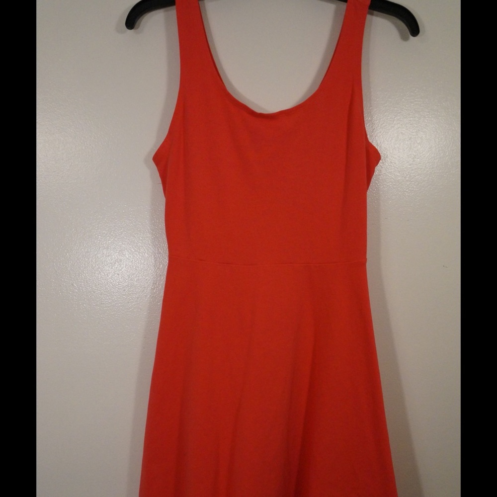Express skater dress with back zipper