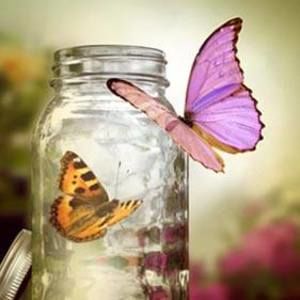 Meet your Posher, Tracy