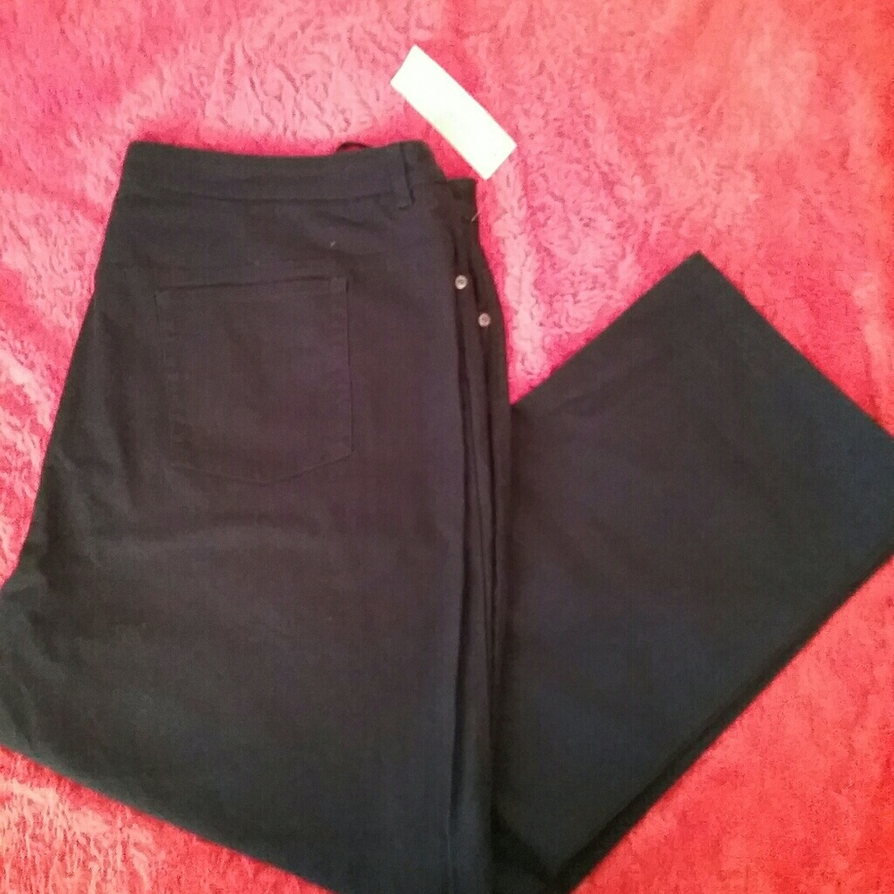 Jones New York Women Sport Navy Pants Size 24W