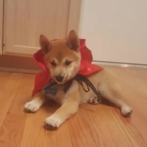 Meet your Posher, Sabrina