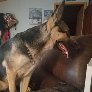 Meet your Posher, Bree