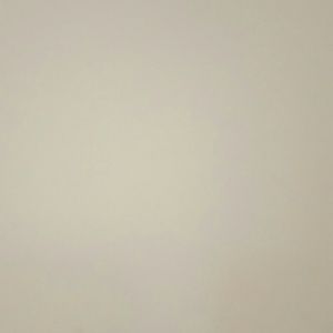 Meet your Posher, Troy