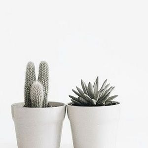 Meet your Posher, Liew