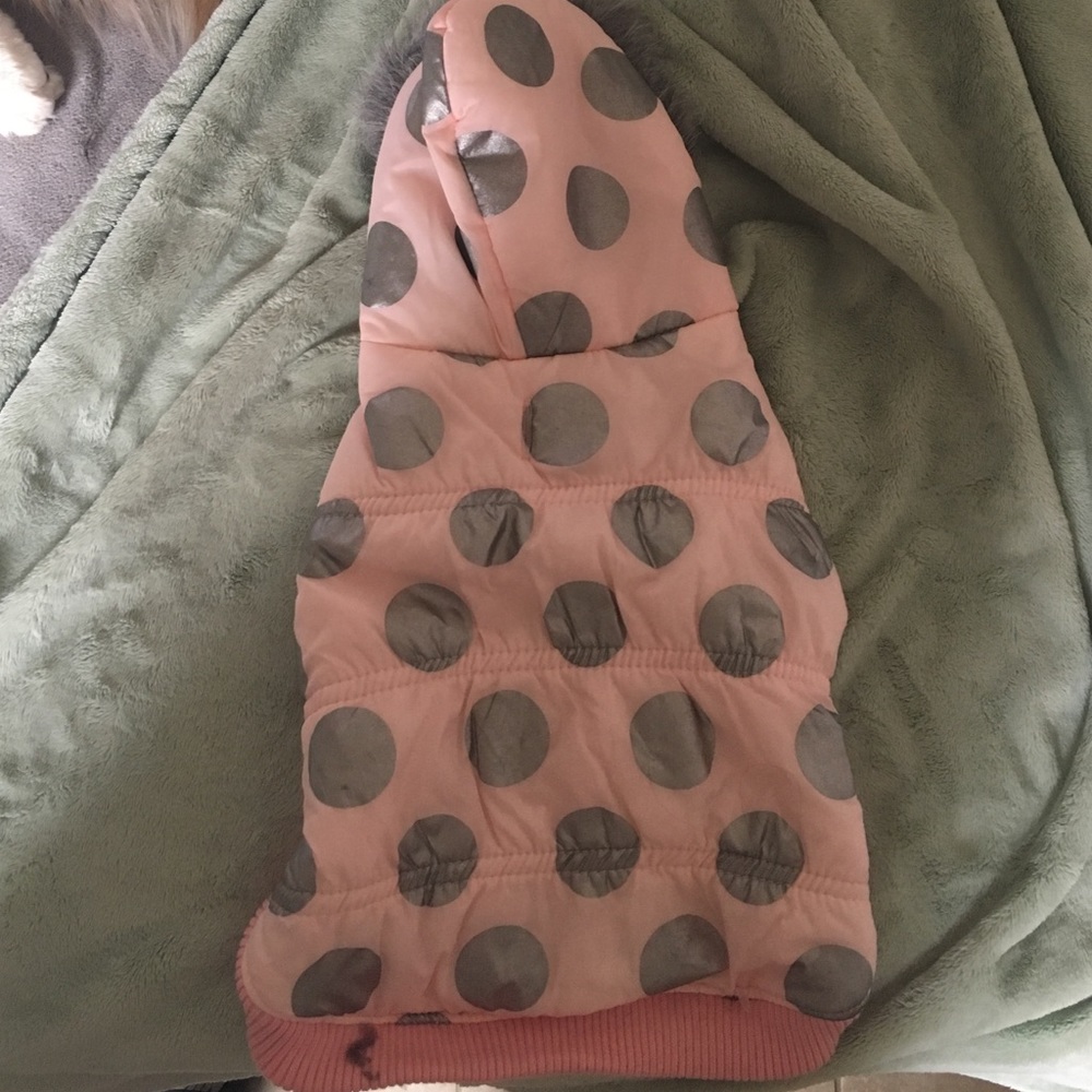 Dog coat