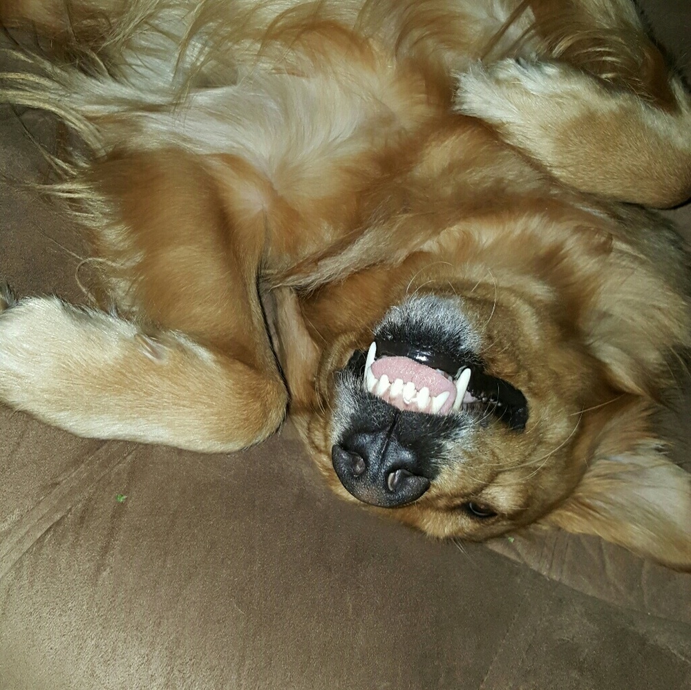 Meet your Posher, Debra