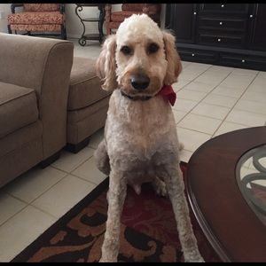 Meet your Posher, Marcela