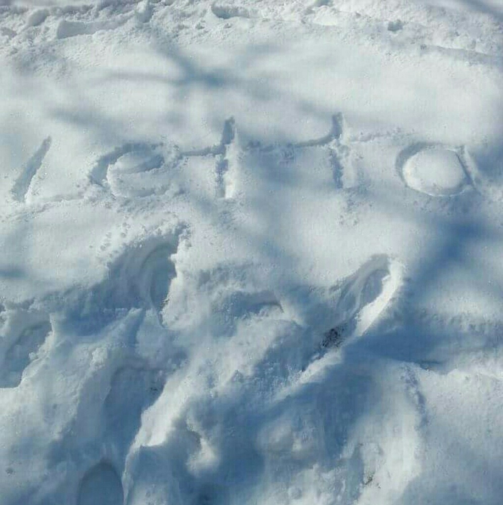 Meet your Posher, Letta