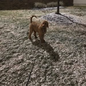 Meet your Posher, Andreas