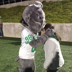 Meet your Posher, Dominique