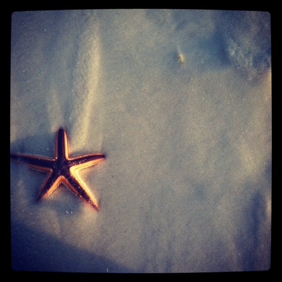 Meet your Posher, Jordan - Picture 1 of 1