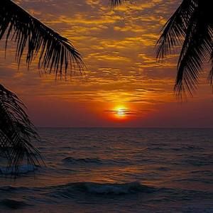 Meet your Posher, Sherry