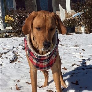 Meet your Posher, Tony