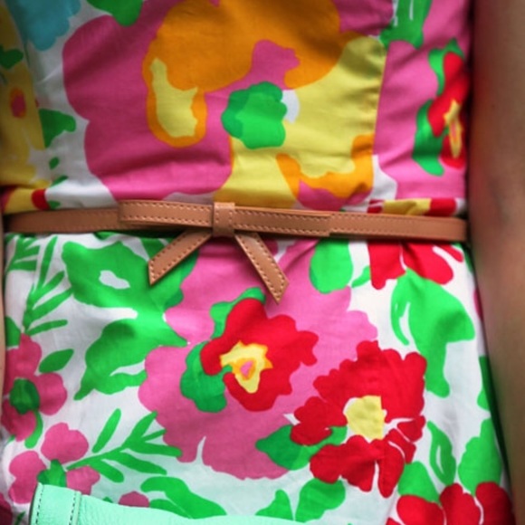 Lilly Pulitzer dress - Picture 4 of 8