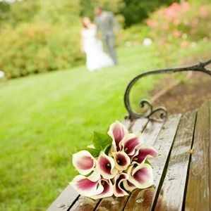 Meet your Posher, Kellie