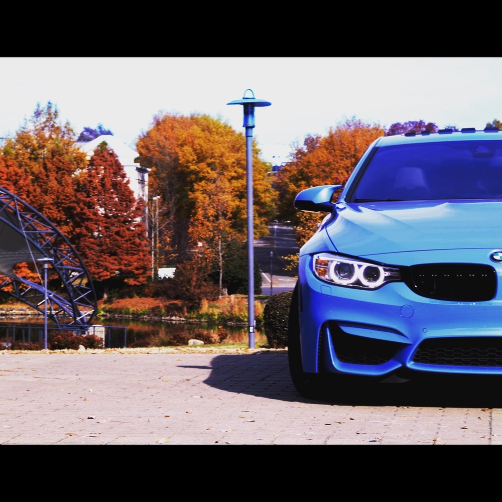 Meet your Posher, Sam