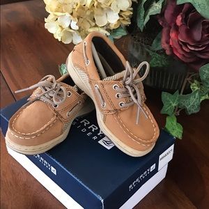 Sperry top sider