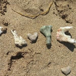 Meet your Posher, Josephine