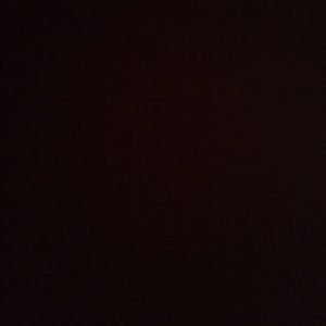 Meet your Posher, Ralph