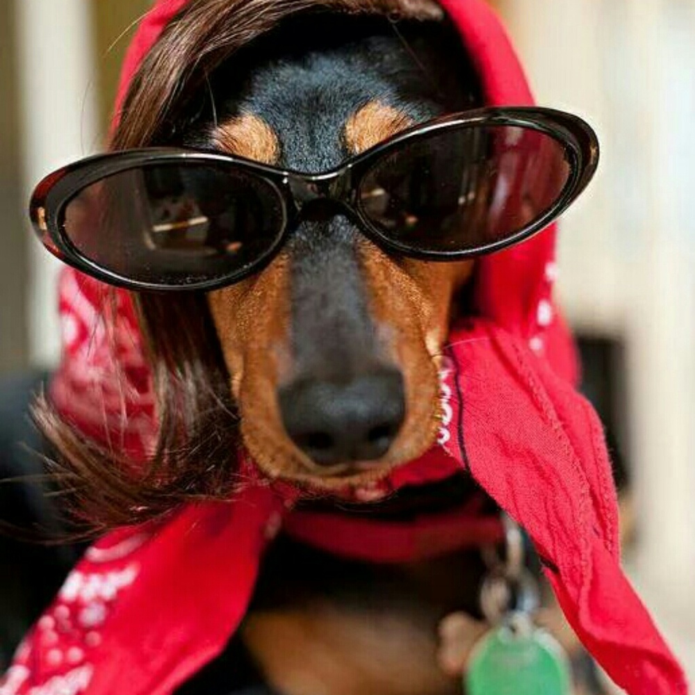 Meet your Posher, Rhonda