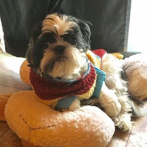 Meet your Posher, Lulu