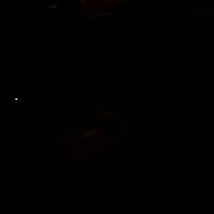 Meet your Posher, Bryan