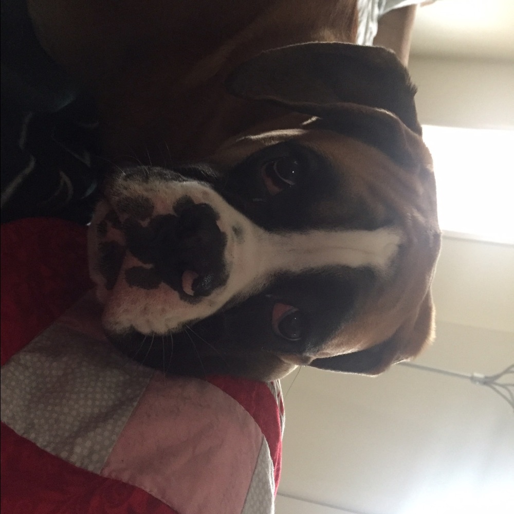 Meet your Posher, Alisha