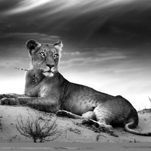 Meet your Posher, Barbara