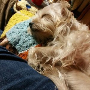 Meet your Posher, Sami