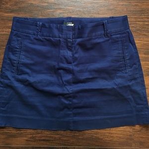Blue J.Crew skirt